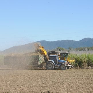 Land Preparation & Soil Management